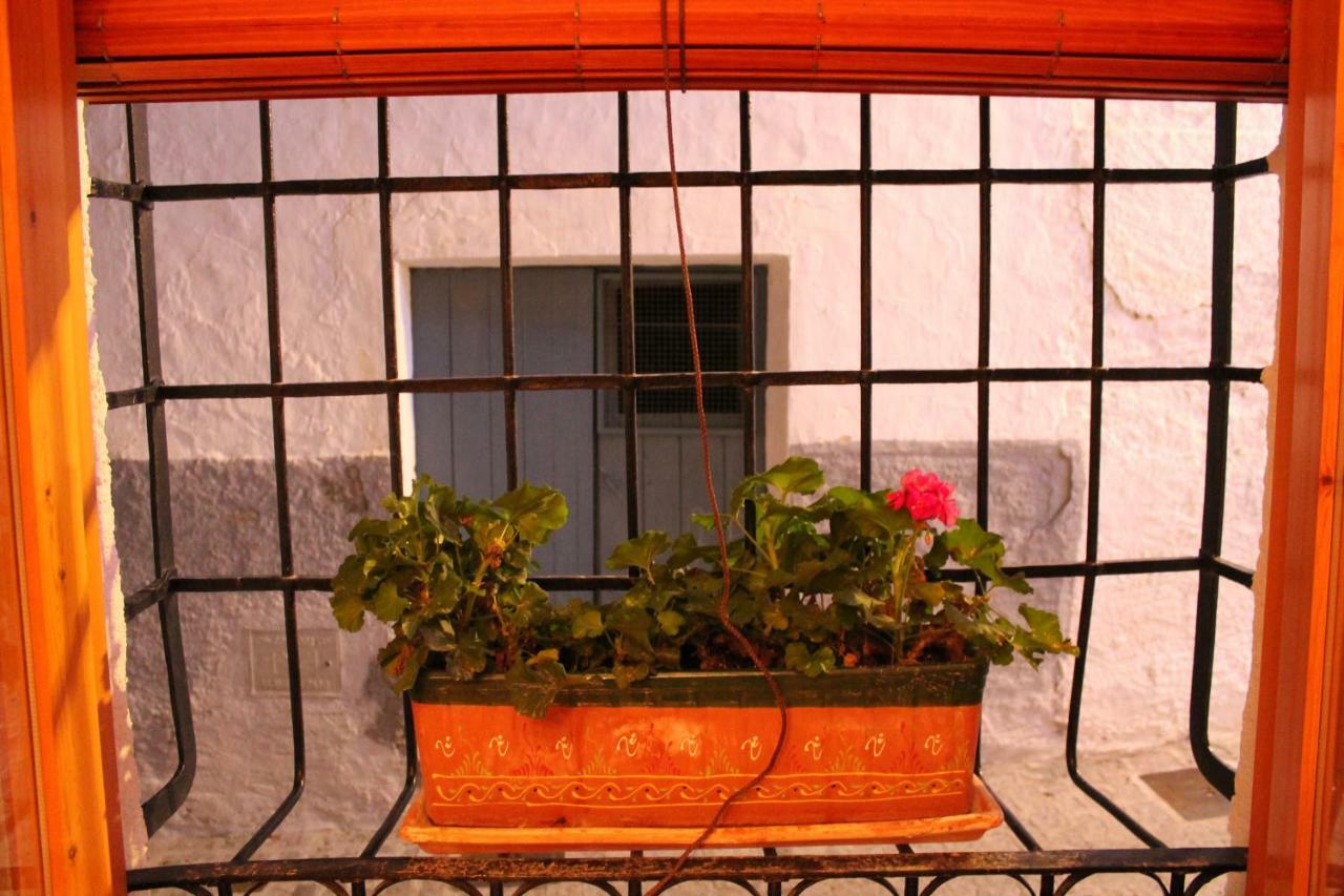 La Casa De La Acequia Pensionat Serón Exteriör bild